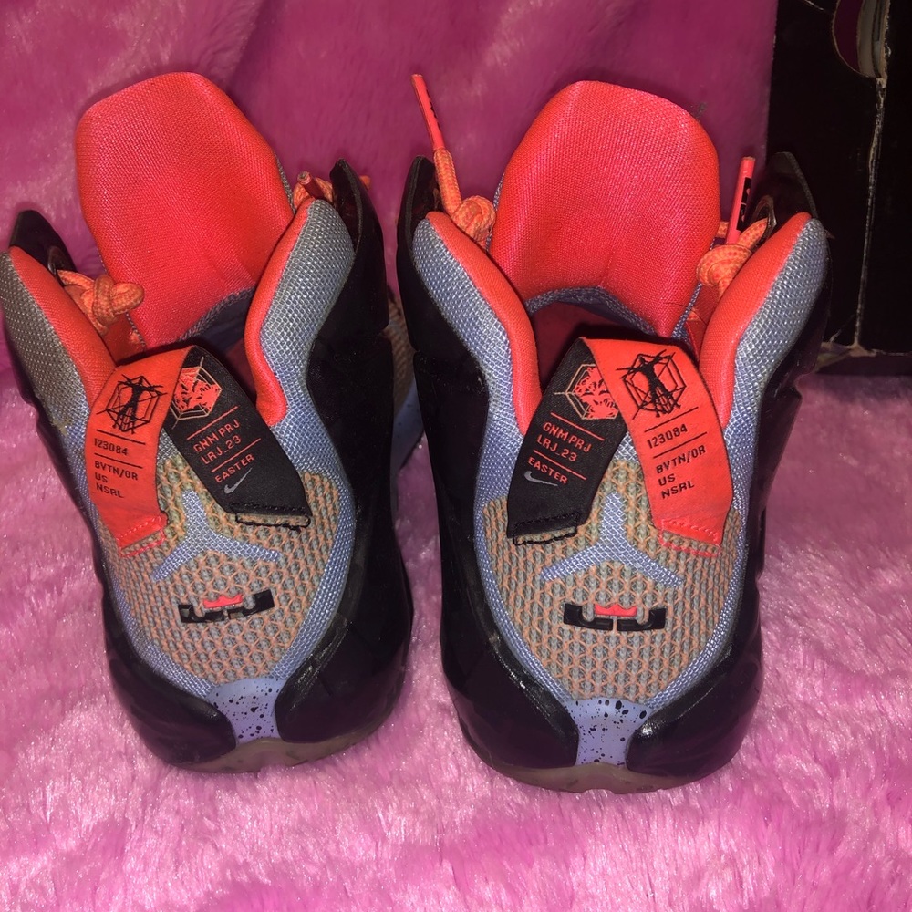 Lebrons - Picture 3 of 4